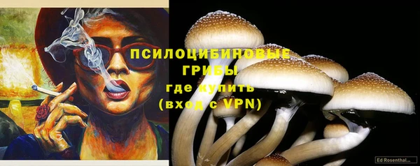 круглые Армянск