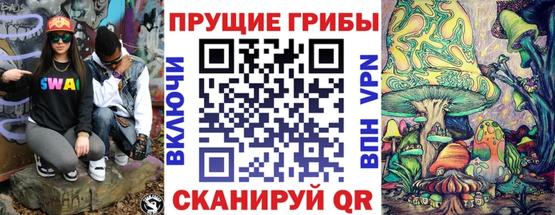 MEGA ссылка  цены   Георгиевск  Псилоцибиновые грибы GOLDEN TEACHER 
